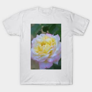 Rose 386 T-Shirt